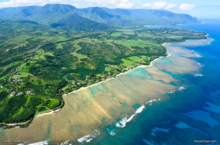 Anini beach kauai beaches hawaii snorkeling hawaiigaga surfing vacation island aerial